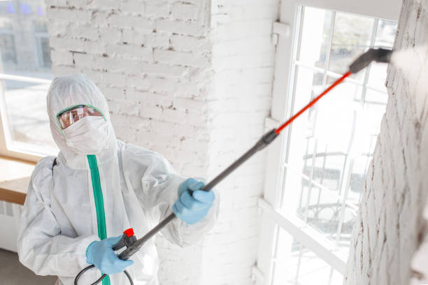 Frankford, DE Mold Removal Company